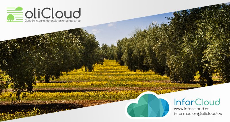 InforCloud presenta “oliCloud”, un software de gestión integral de explotaciones agrarias. La jornada tendrá lugar el próximo jueves 23 de noviembre a partir de las 19:00 horas en el Centro Guadalinfo de Lopera #agricultura #olivar #guadalinfo