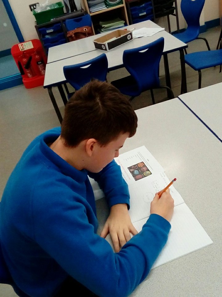SciMaes's tweet photo. Year 8 using independent learning in the form of search and find tasks to gather information about viruses and fungus #litmaes https://t.co/HoQF8MlNcC