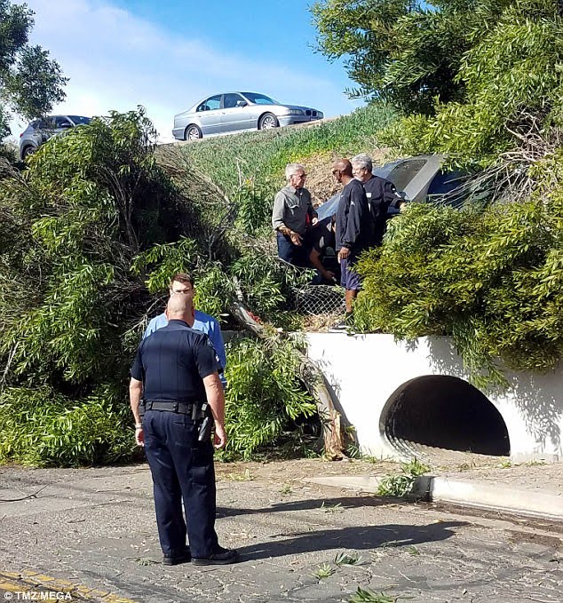 View image on Twitter