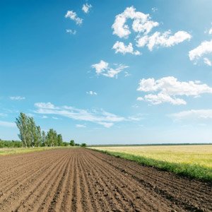 L'#Europa si riunisce per parlare di #biodiversità e #ambiente. Il #Parlamento vota mozione a supporto dell’#ActionPlan for #nature, people and the #economy e chiede che le future politiche siano in favore della natura.
ow.ly/FAF330gGMFf