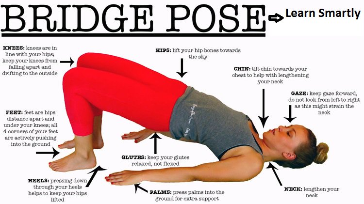SmartlyLearn's tweet photo. LearSmarty What is Setu Bandha Sarvangasana, its Procedure, and Benefits #Setubandhasarvangasana
https://t.co/EMAl6d9svE https://t.co/uiHBEd6Dbm