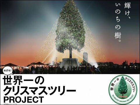 世界一のクリスマスツリー の為に推定樹齢150年のあすなろの木が植樹され プロジェクト後は切ってバングルにされる予定 Togetter 世界一のクリスマスツリー の為に推定樹齢150年のあすなろの木が植樹され プロジェクト後は切ってバングルにされる予定 Togetter