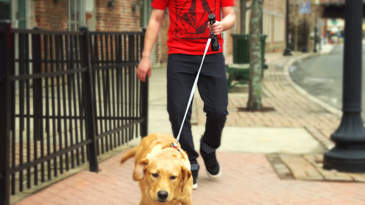 HelloImGismo's tweet photo. I make walking your dog easy, comfortable, and convenient!
.
.
.
.
.
#cutedogs #cutedog #dogphotography #dogsofinstagram #dog #dogs #pets #dogtraining #dogtrainer #dogwalker #dogwalking #perro #perros https://t.co/x33WL01G6o