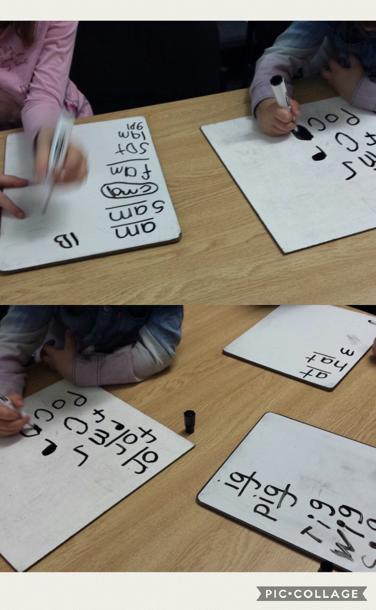 Denise McCafferty tweet media