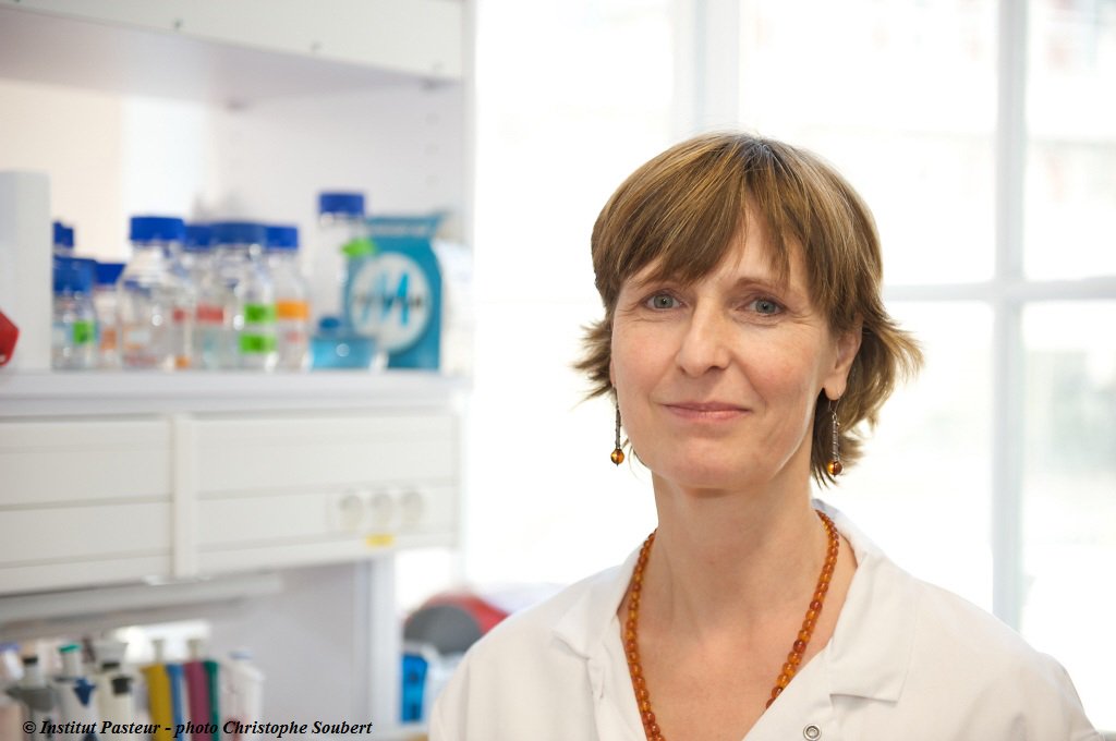 institutpasteur's tweet photo. Toutes nos félicitations à Hilde de Reuse, responsable de l’unité Pathogenèse de #Helicobacter et directrice du département #Microbiologie de l'@institutpasteur, qui vient de recevoir le prix Plantin 2017 pour ses travaux sur la bactérie Helicobacter Pylori #cancer #estomac https://t.co/ZGu61HIhIn