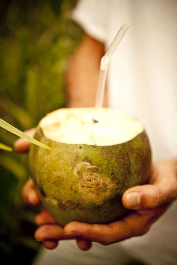 pvsparesort's tweet photo. Try "nature's sports drink" and stay super hydrated at Pura Vida! #naturallyrefreshing #coconut https://t.co/hoLRnB8fuV