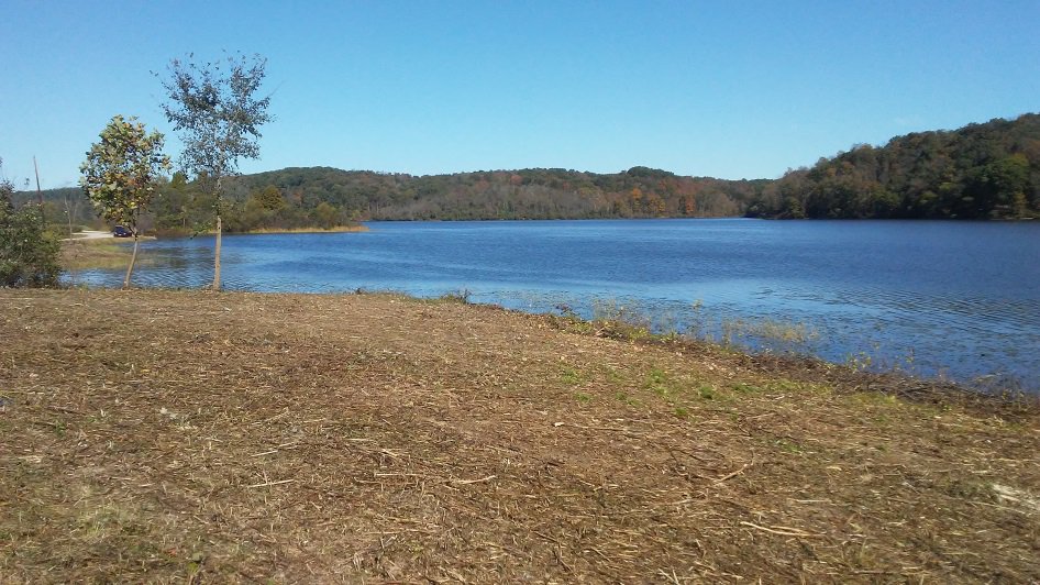 OhioDivWildlife's tweet photo. Shoreline #fishingaccess and opportunities are being improved all around the state, including southeast Ohio! Check out the recent improvements in these areas: https://t.co/SOebzfaAR3 #fishohio #improvingaccess #southeastohio https://t.co/UENhCIyFSD