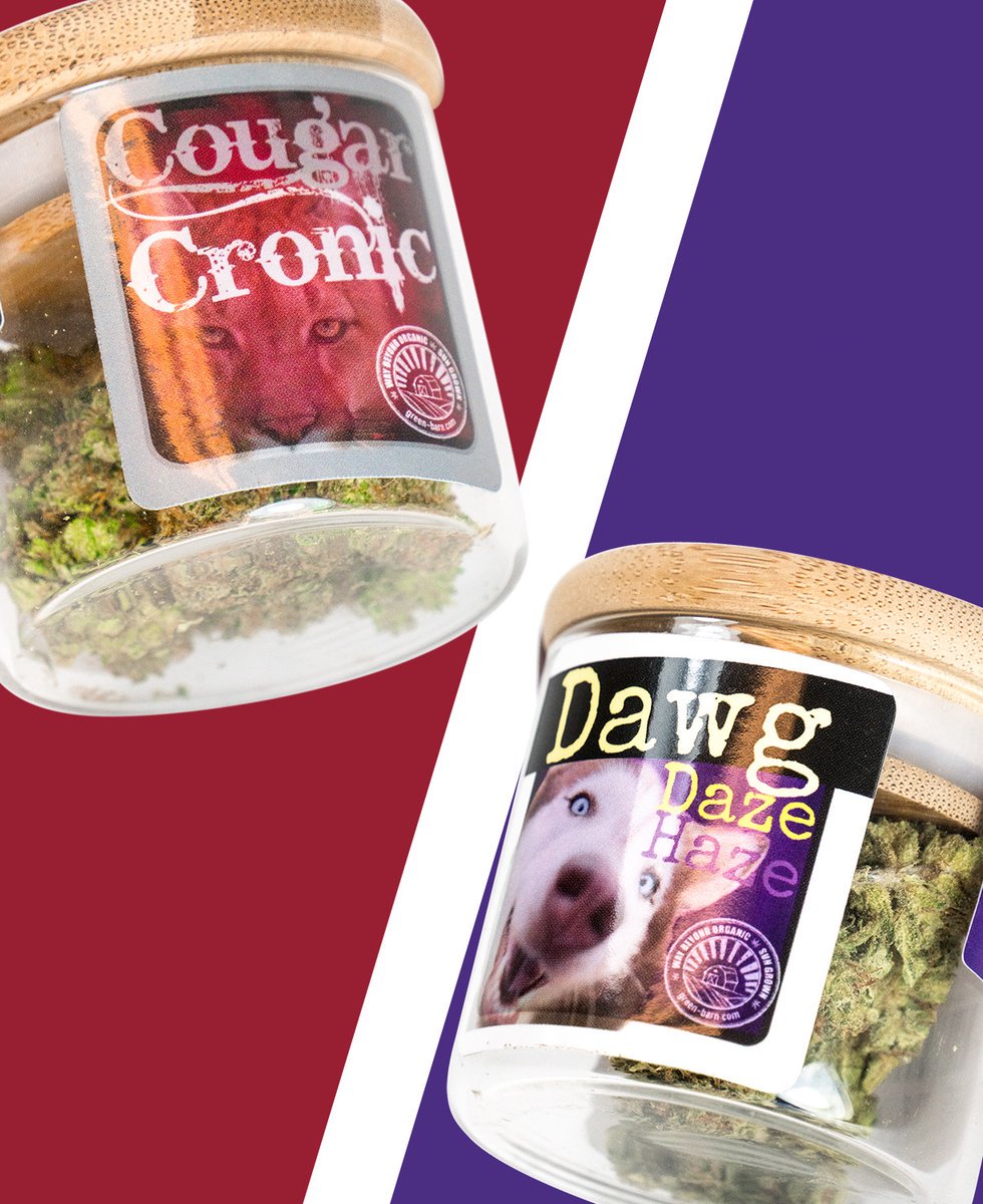 GreenBarnFarms's tweet photo. TODAY from 4-7pm meet @GreenBarnFarms at Hashtag Redmond. Specials deals to celebrate Thanksgiving & the Apple Cup (cats vs dogs?? don't make me choose!):
30% off and 4g for $25 in special #AppleCup packaging!
#WeKnowWeed
#Redmond #Huskies #PurpleReign #Cougars #Cougs #Weed https://t.co/E6vWPYPSa5