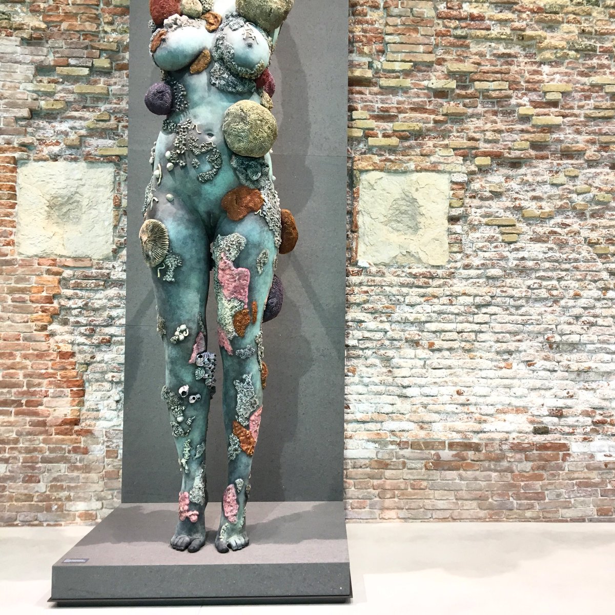 DanielaLegotta's tweet photo. Punta della Dogana | Damien Hirst | Treasures from the Wreck of the Unbelievable #venezia #art #contemporaryart #artecontemporanea https://t.co/zLrjXuiL6R
