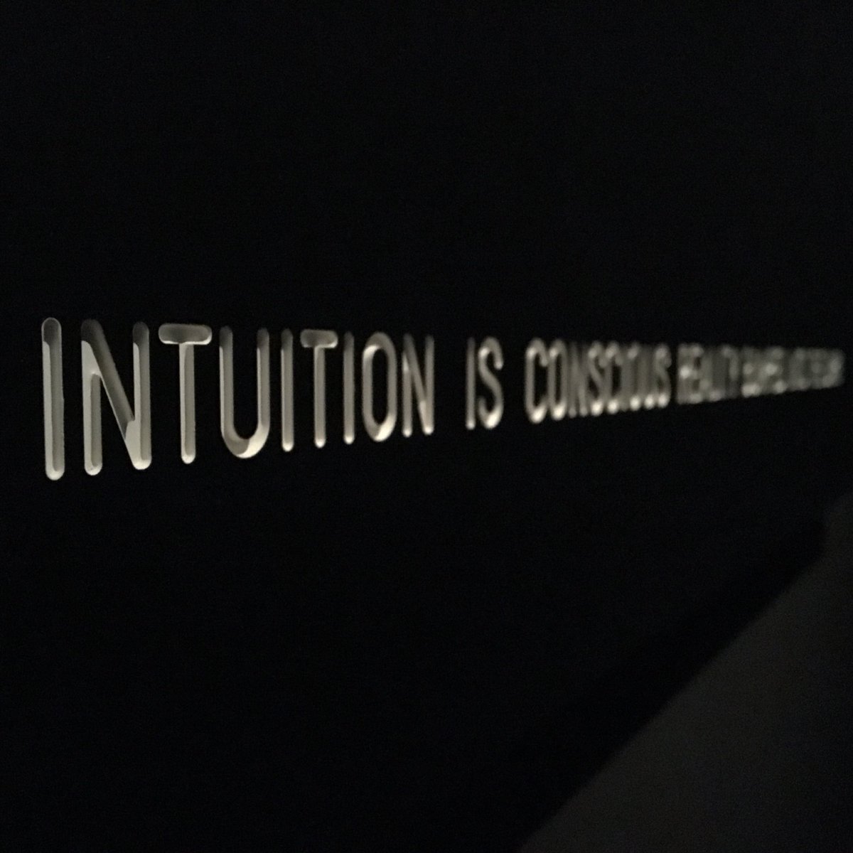 DanielaLegotta's tweet photo. Palazzo Fortuny | Intuition #contemporaryart #venezia #art https://t.co/4yi7Uvn8GM