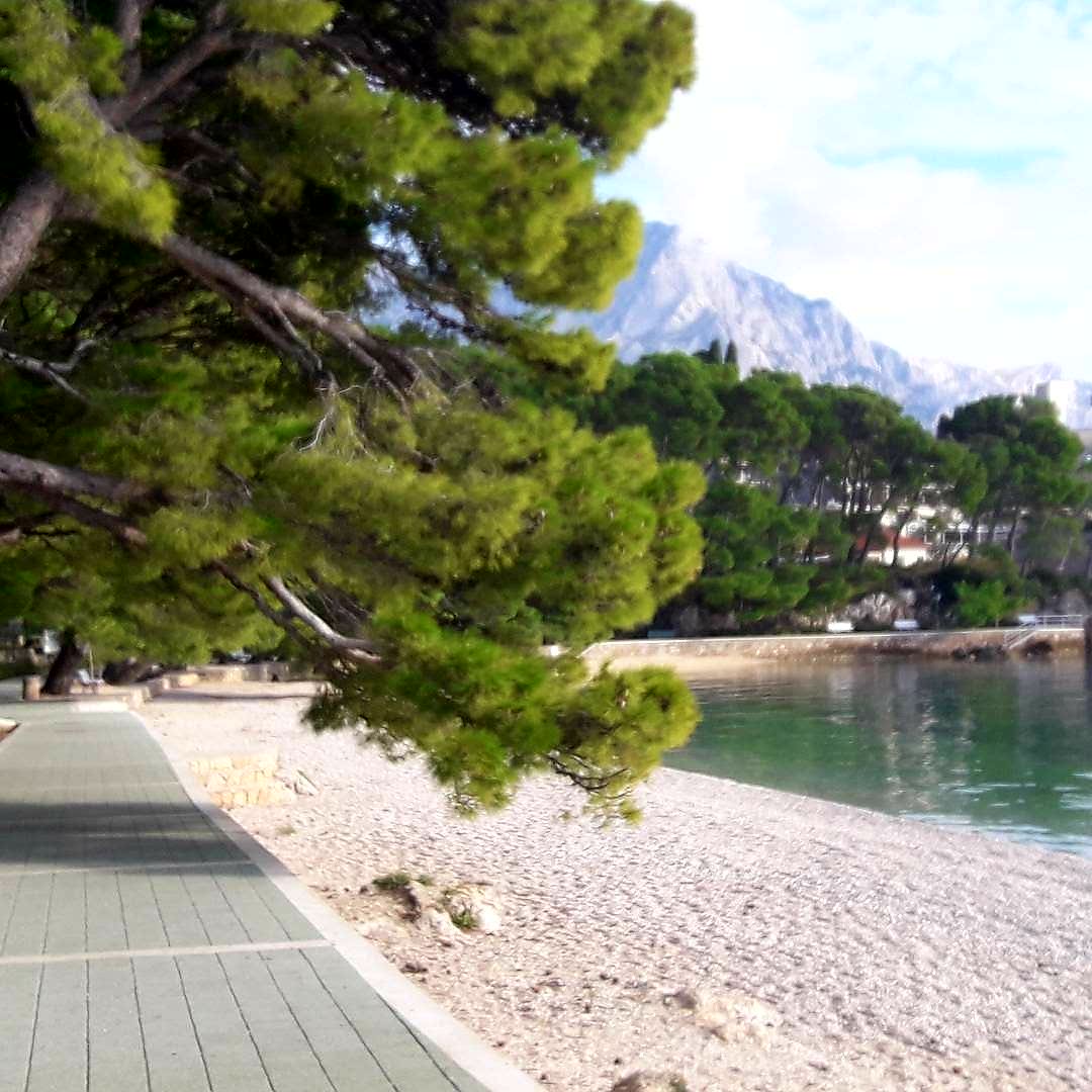 Brela_Croatia's tweet photo. Best beaches are in #Brela
photo by @la_ornell
#makarskariviera #croatia #Forbes #besttimes #bestplace #bestbeachesoftheworld #brelabeach #vacations #holidays #Paradise #peacefulplace https://t.co/9MV775wbO8