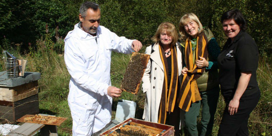 A Syrian refugee, who is an expert on bees, now has hives at a site near Standedge Canal Tunnel in West Yorkshire which is the longest in the country #bees #beekeeping bit.ly/2z57OqD