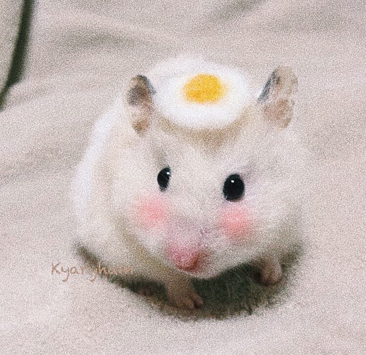 kikisoftie's tweet photo. ꒰ #기현 ꒱ ♡ ꒰ #몬스타엑스 ꒱ https://t.co/xsCvlE9LvW