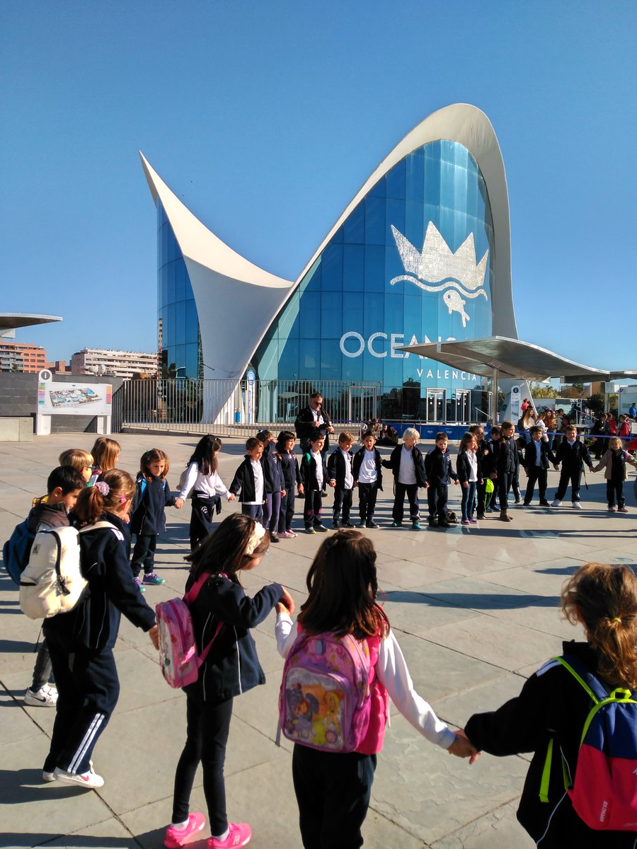 asvtweets's tweet photo. First grade had a great visit to @oceanografic_vl  Valencia on Friday! Ms. Lima and Ms. Watkins said it was amazing to see all the animals that live in the Arctic and Ocean habitats. #ASVLearns #ASVFieldTrips https://t.co/uCIc1KtDw7