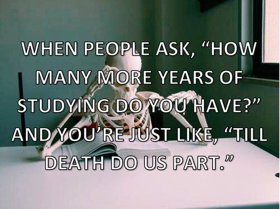 ZubiaRizvi's tweet photo. Couldn't get anymore accurate than this! #TalkingAcademia #AcademiaHumor https://t.co/mqXfe5Ibjo