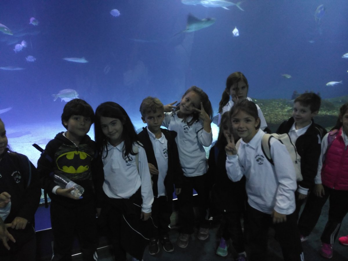 asvtweets's tweet photo. First grade fue a @Oceanografic_vl el pasado viernes. Ms. Lima y Ms. Watkins cuentan que para niños y profesores fue fascinante ver a los animales del Ártico y los océanos y conocer cómo viven en sus hábitats. #ASVLearns #ASVFieldTrips https://t.co/hJpXqIDqp4
