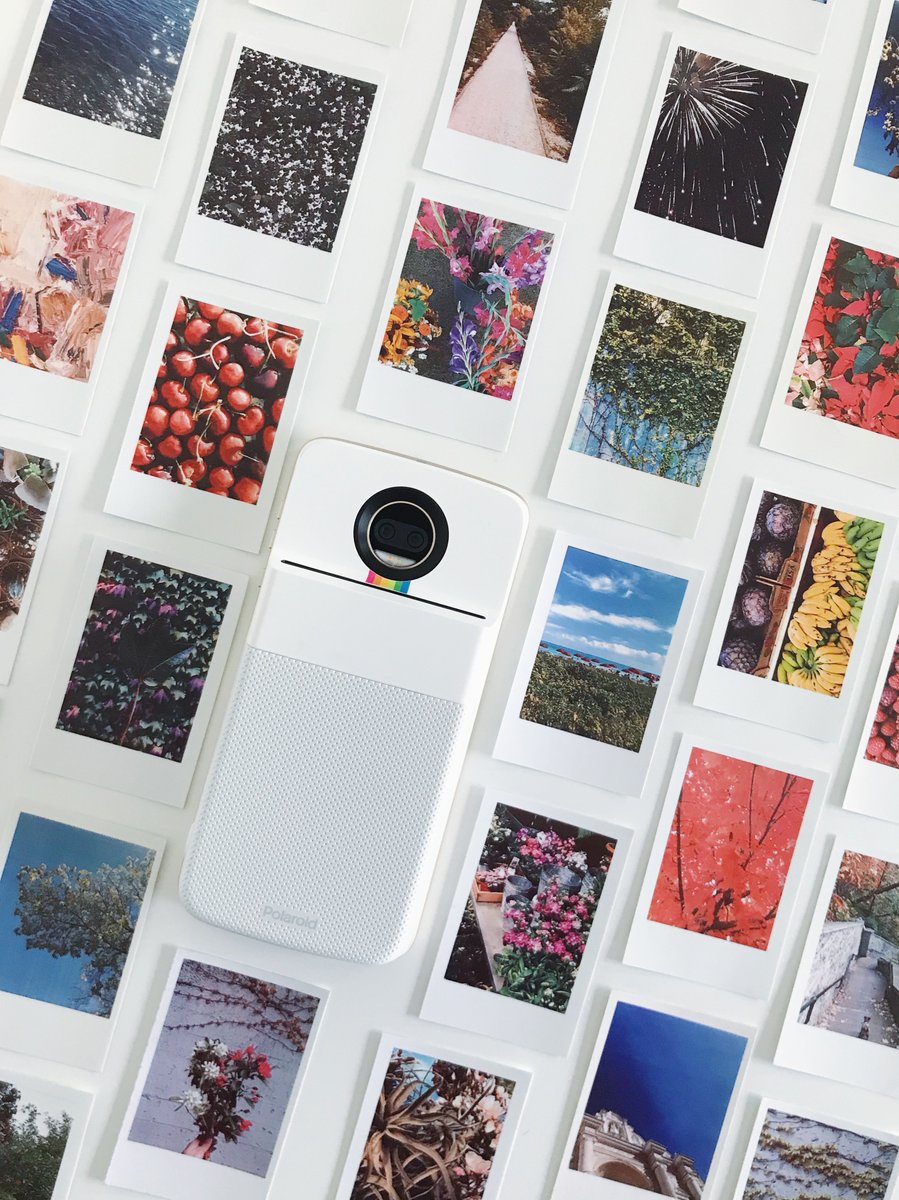 Polaroid tweet media