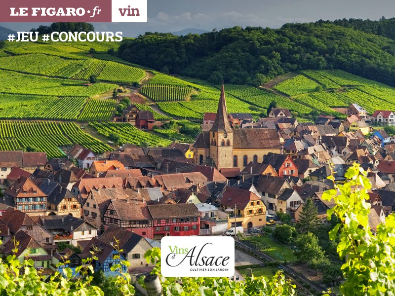 🍷Gagnez un séjour en #Alsace entre dégustation et gastronomie avec <a href="/VinsAlsace/">VinsAlsace</a>! 👋 #JEU #CONCOURS ➡ avis-vin.lefigaro.fr/vins-alsace/o1…