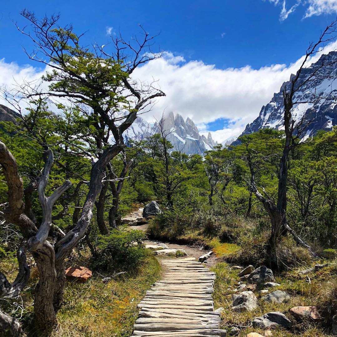 latitudturismo's tweet photo. El Chaltén, Santa Cruz. Argentina 🇦🇷️ https://t.co/aUmT0e9bTs