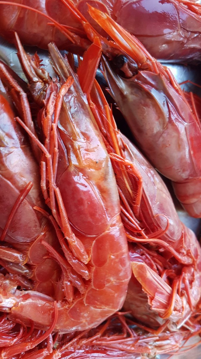 AChabola's tweet photo. Una de las delicias gastronómicas que preparamos en #Achabola .... arroz con carabineros #PraiadeArealonga https://t.co/Mqte1MSOkK