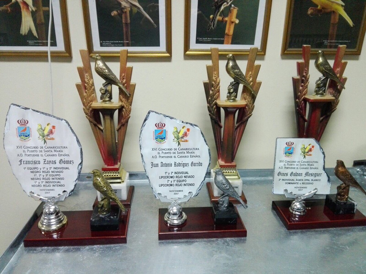 PortuenseA's tweet photo. 1 de diciembre entrega de premios, sobre las 17:30 en café bar la fuentecilla.  Gracias a todos los participantes y enhorabuena a lo Premiados 🐤 https://t.co/QJtXK3axvW