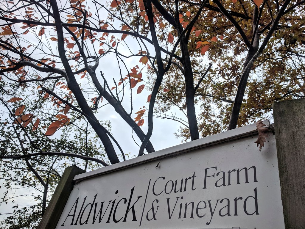 Siographyy's tweet photo. Looking forward to #photographing Andy and Lou's #Wedding this week @ AldwickCourtFrm loving the #Autumn #Leaves winner best #wedding #venue #Bristol #Somerset  2017 #Siography https://t.co/EG7BXDH5KL