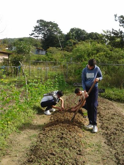 Programa Todas las Manos a la Siembra. Proceso de preparación de canteros para la siembra de cultivos de ciclo corto con estudiantes de Media General. <a href="/CLIFP_Uribante/">CLIFP Uribante Susana Argumedo</a> <a href="/uensancarrero/">UEN Sanchez Carrero</a> <a href="/cei_carrero/">CEI SANCHEZ CARRERO</a> <a href="/charlychaves/">Charly Rojas Chaves</a> <a href="/OmarAntRangel/">Omar Antonio Rangel</a> <a href="/carlosyosmar/">carlos omaña</a> @ZonaEducTachira <a href="/ner529uribante/">NER 529 URIBANTE</a>