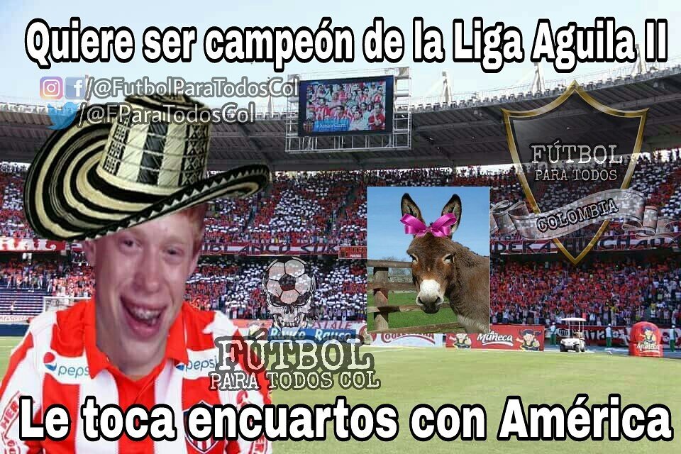 FParaTodosCol's tweet photo. https://t.co/xopvJzMyAh