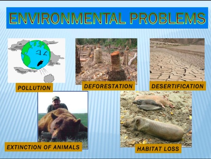 EM203Jacobson's tweet photo. We have environmental problems...and we have solutions. You choose what to contribute to #EM203Mueller #Nature #Health #Environment #Society https://t.co/IJwlqWiREo