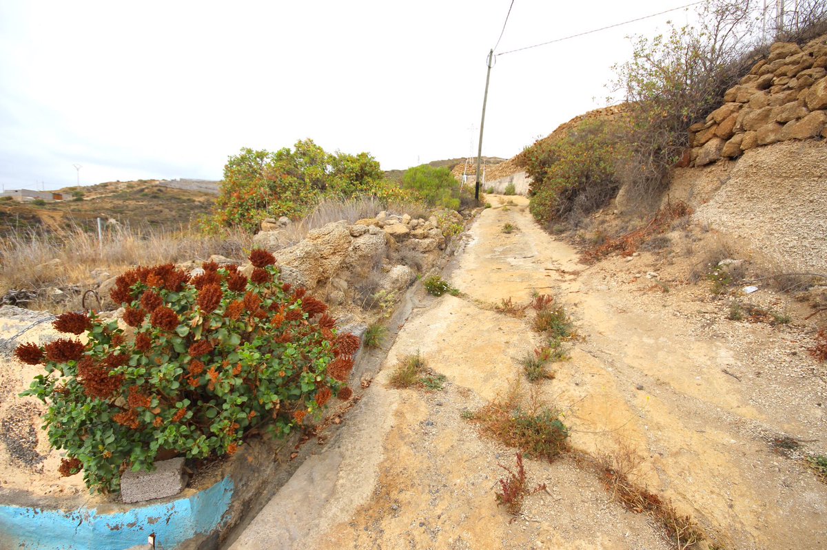 propiedadcanary's tweet photo. Fantástica #finca #rústica en #fasnia por tan solo 28.000€ 😃 solicita información! #property #venta #terreno #nature #fincarustica #monte #tenerife #canarias #canaryislands #surtenerife #oferta https://t.co/FxRAhrjszC
