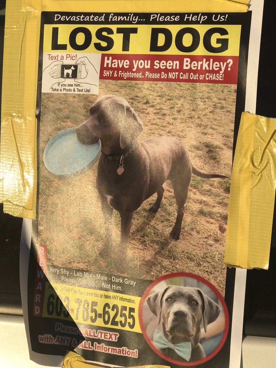 MorningPugs's tweet photo. Saw this on a car at work. I have no clue if the dog is lost here in Omaha or in New Hampshire (the area code), but either way, I feel compelled to share this. #LostDog https://t.co/RIwbAFh3R6