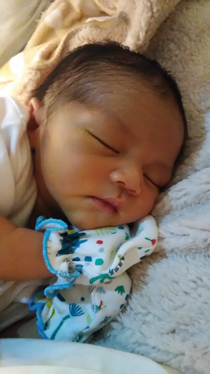 YULFI (@yulfipoupee) on Twitter photo 