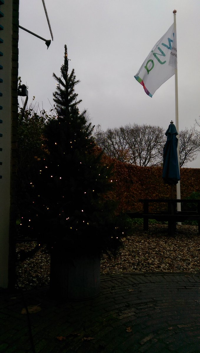 Niet tegen de #Sint zeggen! De eerste #Kerstboom🎄 rondom kantoor is al gespot😊 (#Kerstballen✨ na 5 december)