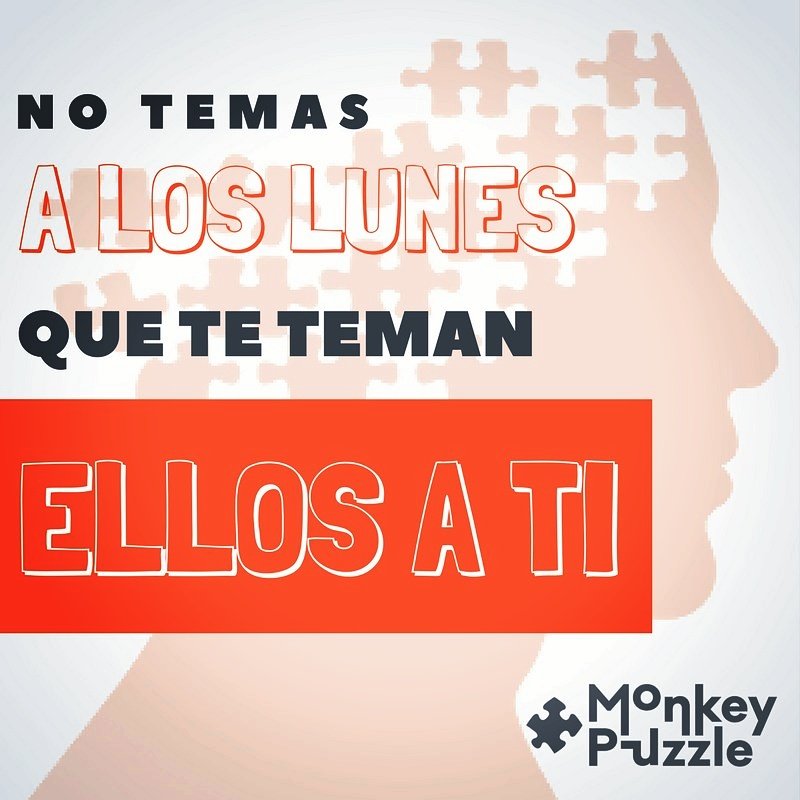 monkeypuzzlemx's tweet photo. ¡Feliz inicio de semana! 
Te invitamos a conocer nuestros servicios en: https://t.co/bDZGrFS9Ix https://t.co/VZ81ctz1mL