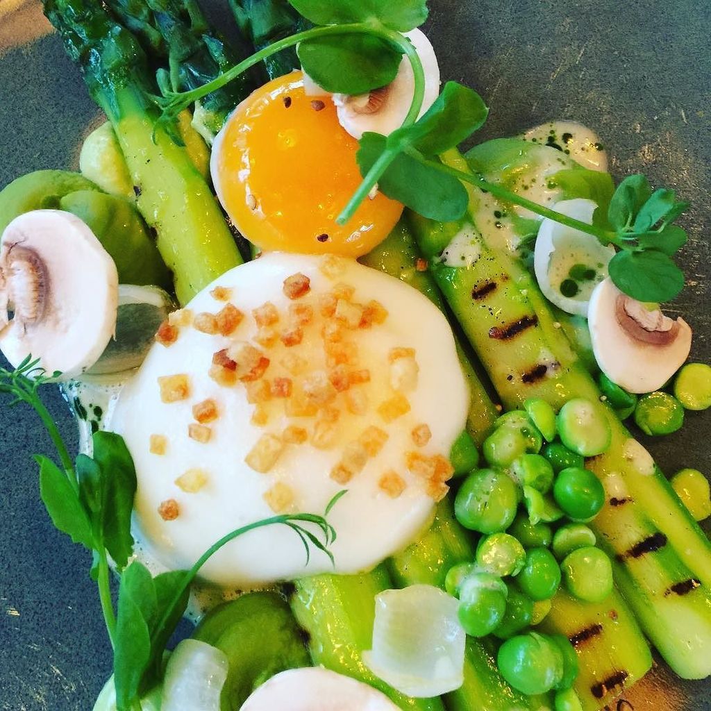 TomSebastian's tweet photo. Masterclass @growsupport met heerlijk lunch bij WOLF #foodphotography #foodgram #wolfatelier #growsupport https://t.co/MXYNAkkFXD https://t.co/y6wZK7MB0n