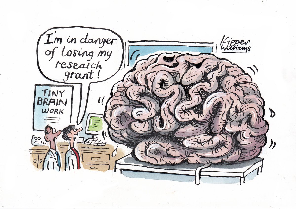 Kipper Williams Understanding Brain Development By Growing A Tiny Brain In A Petri Dish My Rcpsych Cartoon