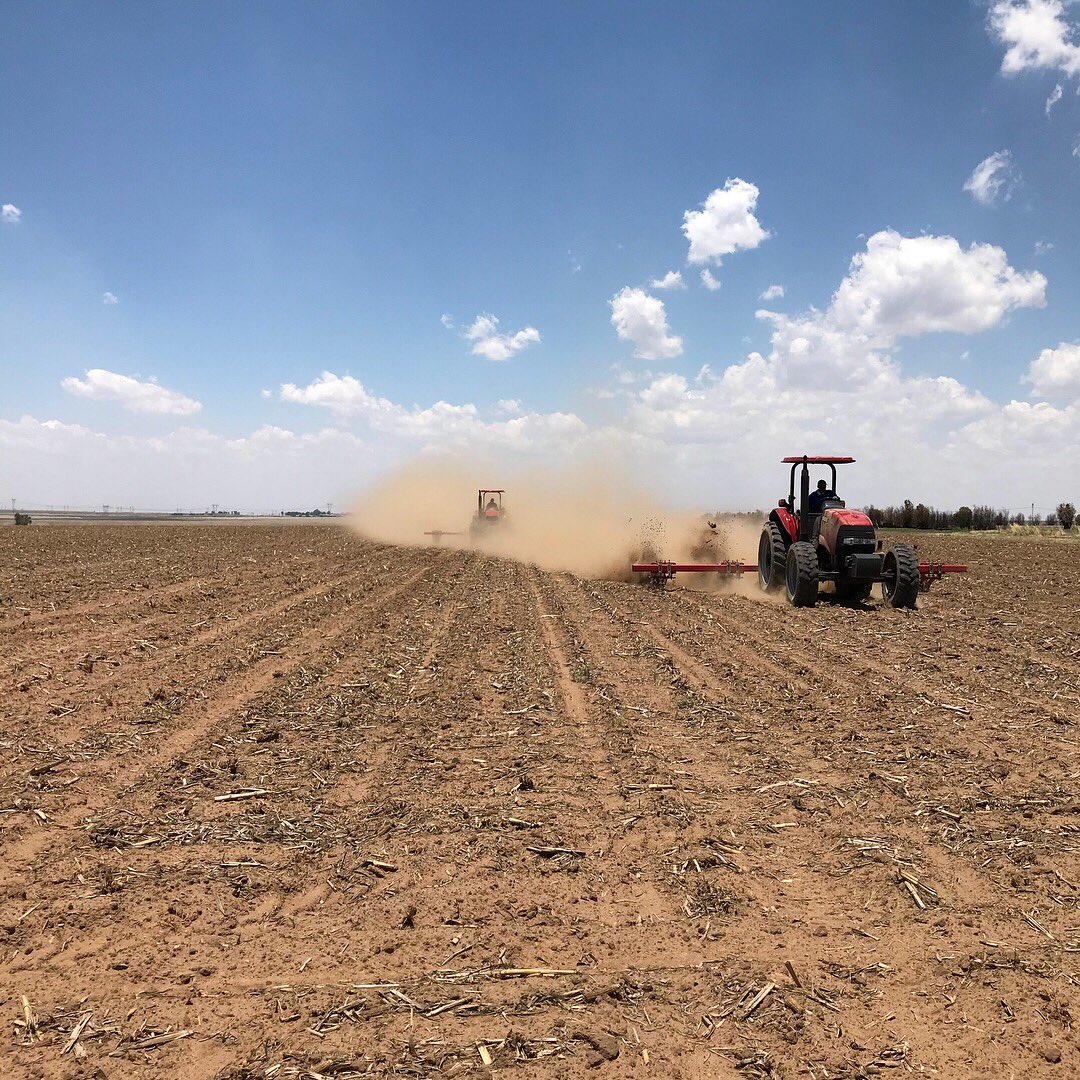 lhclaassen's tweet photo. We urgently need some #rain Finishing the #plant2017 season this week. We shall have a look after the rain what we need to plant over. May the Lord bless everyone with rain very soon. https://t.co/RdoxBeAv37