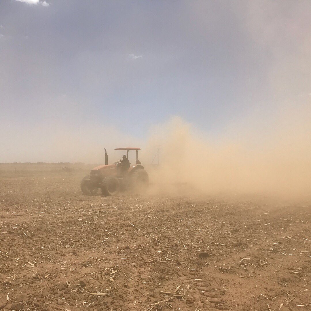 lhclaassen's tweet photo. We urgently need some #rain Finishing the #plant2017 season this week. We shall have a look after the rain what we need to plant over. May the Lord bless everyone with rain very soon. https://t.co/RdoxBeAv37