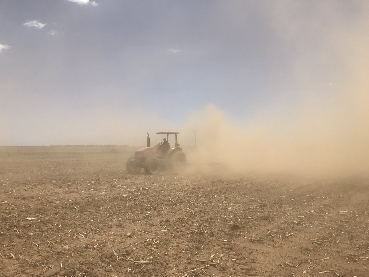 lhclaassen's tweet photo. We urgently need some #rain Finishing the #plant2017 season this week. We shall have a look after the rain what we need to plant over. May the Lord bless everyone with rain very soon. https://t.co/RdoxBeAv37