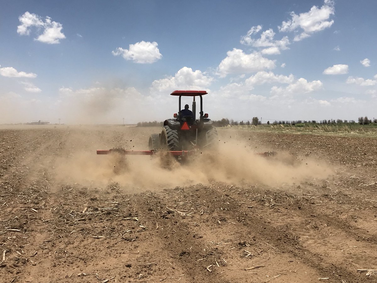 lhclaassen's tweet photo. We urgently need some #rain Finishing the #plant2017 season this week. We shall have a look after the rain what we need to plant over. May the Lord bless everyone with rain very soon. https://t.co/RdoxBeAv37