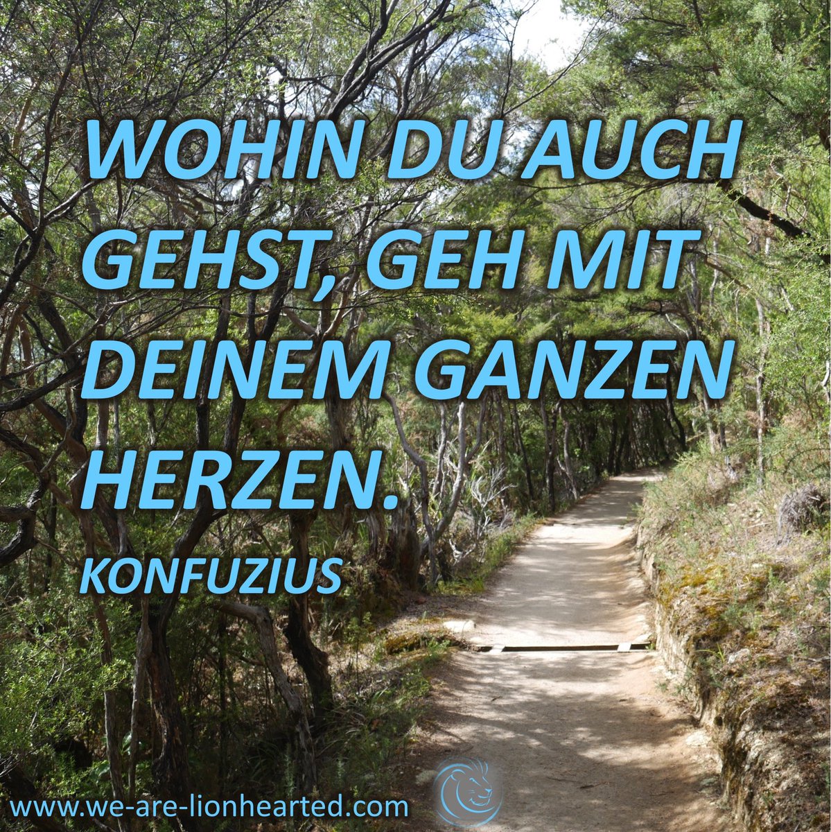 WeR_Lionhearted's tweet photo. Nach meiner Erfahrung tut man keine Sache richtig, wenn man 2 gleichzeitig macht. Für mich war es die richtige Entscheidung den Job zu kündigen um mich auf meine Selbständigkeit zu konzentrieren.Es fühlt sich so richtig an, mit ganzem Herzen einen Weg eingeschlagen zu haben #WRLH https://t.co/GH1PCBKhoF