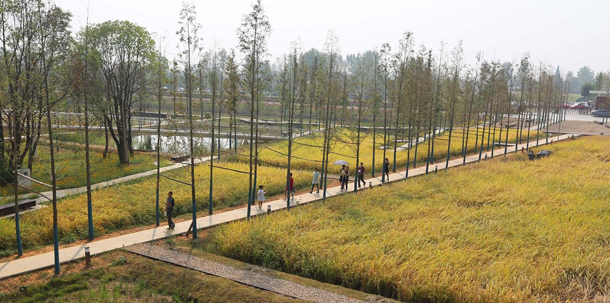 WACommunity's tweet photo. Chengtoushan Archaeological Land named World Landscape Of The Year 2017: https://t.co/ueTpwTSYPR #landscape https://t.co/MiKzGCvzJ9