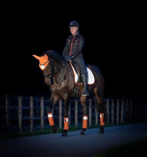 #besafebeseen Loving the new Le Mieux High Visibility range which has just arrived! Safety wear just got stylish.
ingatestonesaddlery.co.uk/horse/horse-we…