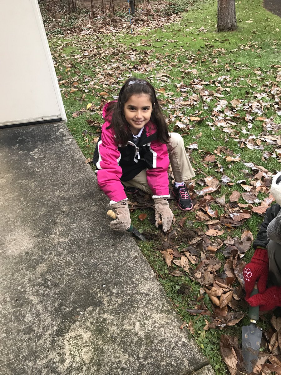 Anniesk's tweet photo. #grade1 #gardening #planting #crocuses #hopenottoolate @ACSRochester @sayturn_linsay https://t.co/IaDhIVGi6d