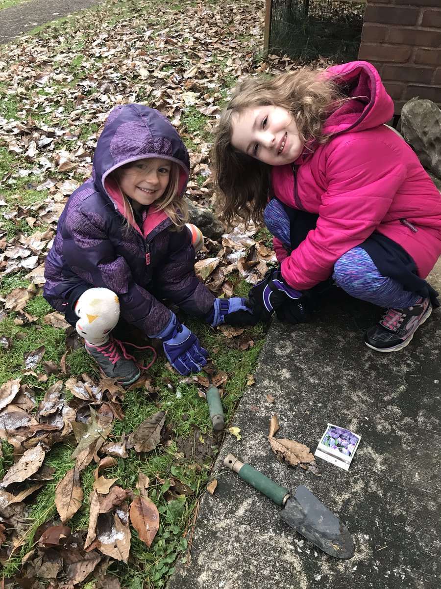Anniesk's tweet photo. #grade1 #gardening #planting #crocuses #hopenottoolate @ACSRochester @sayturn_linsay https://t.co/IaDhIVGi6d