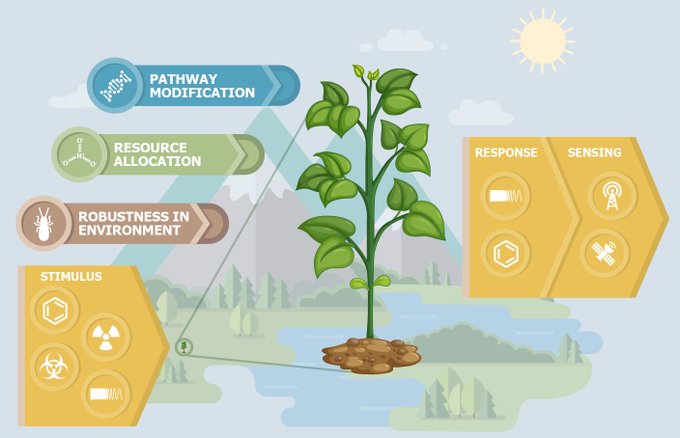 Посмотреть изображение в Твиттере Посмотреть изображение в Твиттере