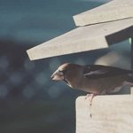 Photo by Atelier Petit Oiseau (@ladp_oiseau)
