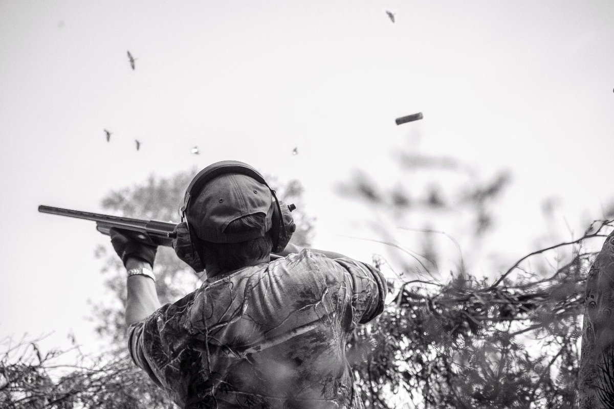 Sierra_Brava's tweet photo. Track the dove and fire 💥🔛 https://t.co/Uzf7xjb8Va