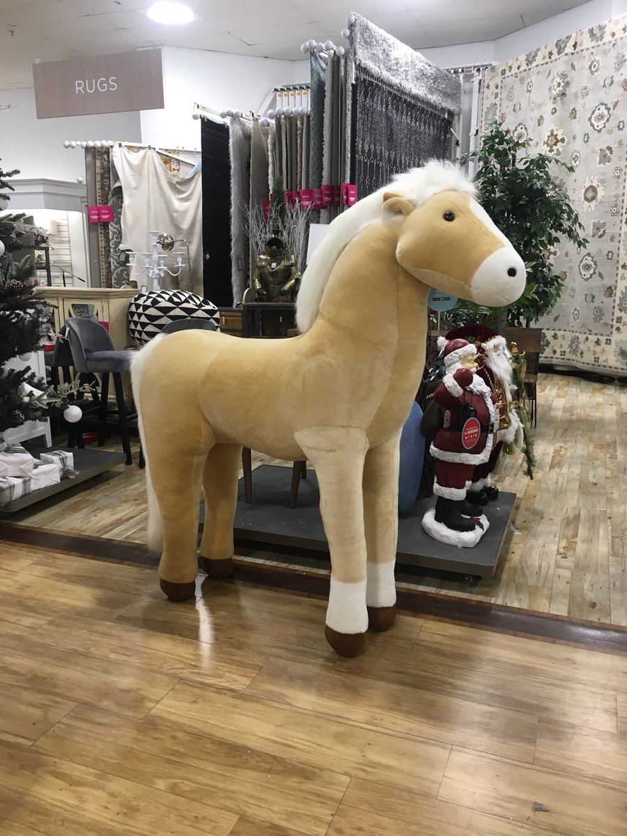 emilyk726's tweet photo. @angiabar I found Rain at @HomeGoods ! 🐴 https://t.co/jxLx5x3hiL