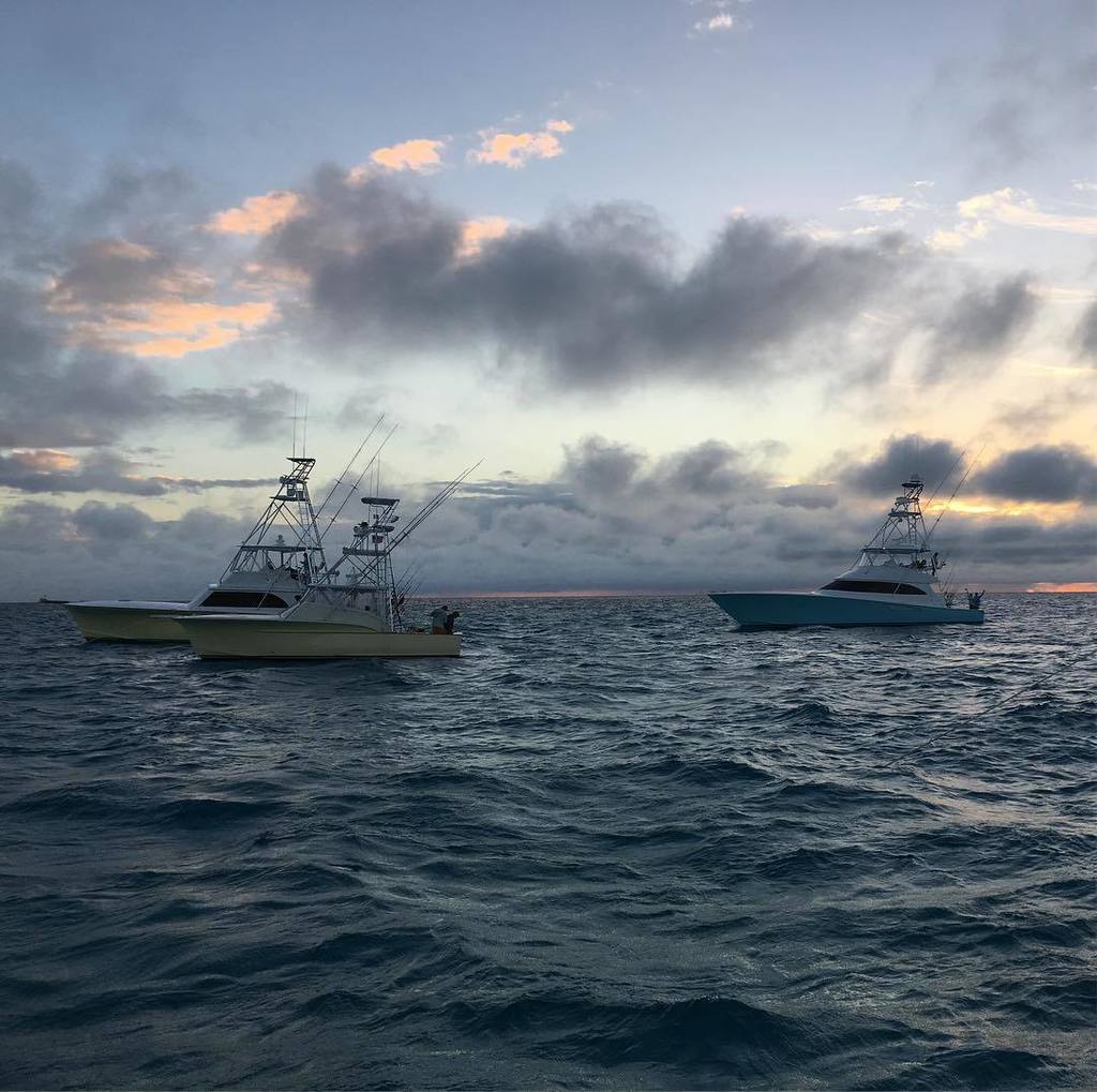 flyingfishrman's tweet photo. Nice view at the bait patch #gettingready #sailfish #flyingfisherman #polarized #eyewear #islamorada #floridakeys #seeitcatchit https://t.co/7TrddCR5F6 https://t.co/7bexv82F5K